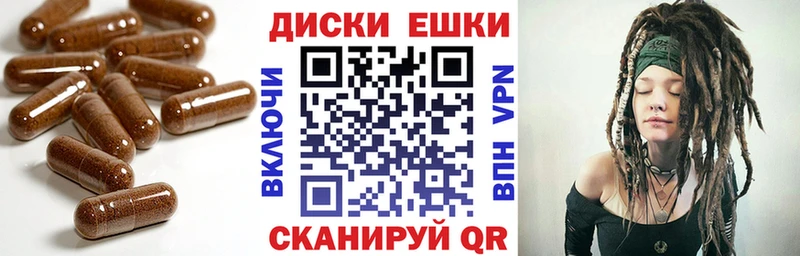 ЭКСТАЗИ диски  это телеграм  Шенкурск  закладка 