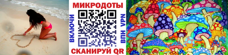 кракен зеркало  Шенкурск  Псилоцибиновые грибы ЛСД 